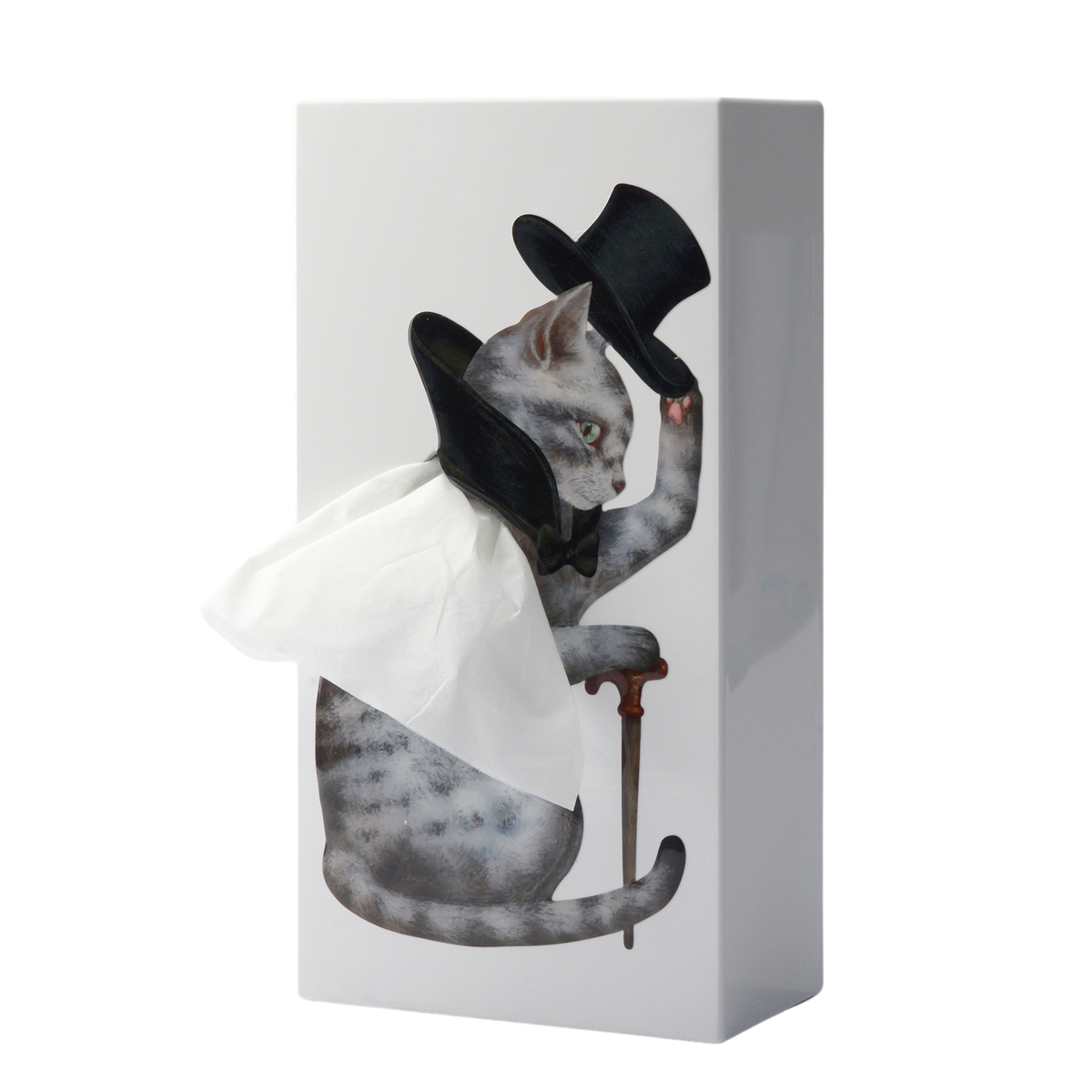 Original Tissue Up Tale Katze