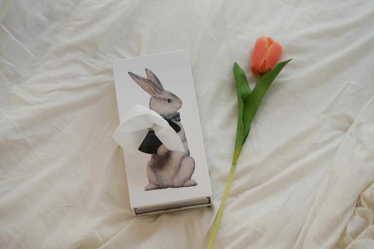 Original Tissue Up Tale Hase