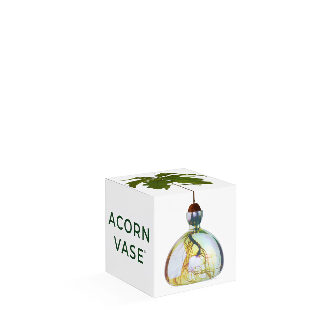 Acorn Vase